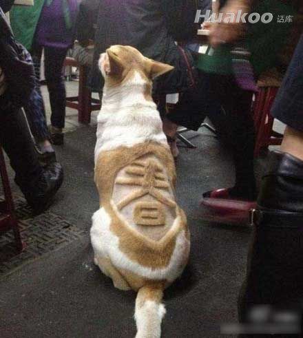 擦！笑得我一口水喷到屏幕上 搞笑图片
